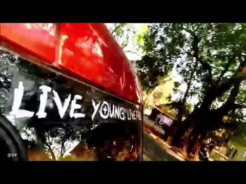 Live Young Live Free Mp3 Download